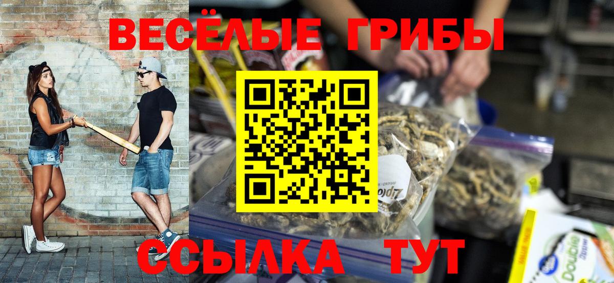 Псилоцибиновые грибы прущие грибы Пугачёв